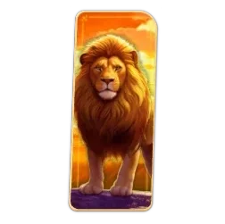 Lion
Safari